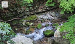 2022년 8월 14일 정선 북평면 항골계곡 정기산행 합니다. - ◈ 정기산행공지 - 강릉 블랙야크 산악회 2022년 8월 14일 정선 북평면 항골계곡... 