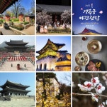 3/27(금(청와대로 왕실의정원 창경궁 경복궁 북촌 (종로)출발06시50분 - 3/23-31(준비중) - 대전소월산악회 3/27(금(청와대로 왕실의정원... 