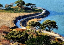 3/30(월)알프스호반 수선화 아름다운길 왕벚꽃 쌍계사 (하동)출발06시50분 - 3/30-4/3(산행일정/신청) - 대전소월산악회 3/30(월)알프스호반... 