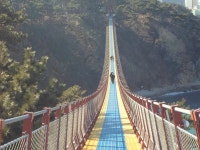 울산대왕암공원 출렁다리 - 일반사진방 - 만남의광장 중국연변카페 울산대왕암공원 출렁다리