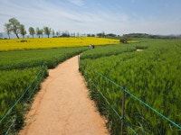 학원농장(2025. 4. 25) - 고창여행(2025. 4. 25 - 26) - 태안중19회 학원농장(2025. 4. 25)