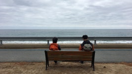 해파랑길 770Km 학습여행 기록 - 인사와 생활나눔 - 철암도서관 | 이웃과 인정이 있는 철암세상 해파랑길 770Km 학습여행 기록