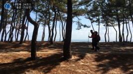 해파랑길 770Km 학습여행 기록 - 인사와 생활나눔 - 철암도서관 | 이웃과 인정이 있는 철암세상 해파랑길 770Km 학습여행 기록