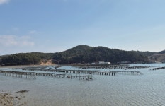 남파랑길 33코스 - ♣남파랑길 후기 - 대전한겨레산악회 남파랑길 33코스