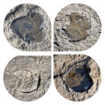 남파랑길 33코스 - ♣남파랑길 후기 - 대전한겨레산악회 남파랑길 33코스