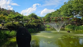 꿈꾸는 극장(경로당 운영에 관한 연극) - 송산서원 포토겔러리 - 송산서원 꿈꾸는 극장(경로당 운영에 관한 연극)