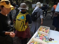 제14회 디모테오길 도보순례/3 - 교구 행사 - 죽림동성당 죽림동성당