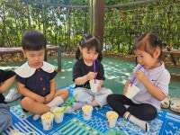 6월2주 100일 파티 - 푸른하늘반이야기 - 향촌하늘숲어린이집 6월2주 100일 파티