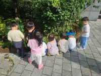 10월1주 푸른나무반🌳 실외놀이~ - 푸른나무반 이야기 - 향촌하늘숲어린이집 10월1주 푸른나무반🌳 실외놀이~