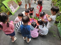 7월1주 실외놀이(1) - 푸른하늘반이야기 - 향촌하늘숲어린이집 7월1주 실외놀이(1)