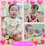 6월3주 💕푸른사랑반👶 놀이 이야기 - 푸른사랑반 이야기 - 향촌하늘숲어린이집 6월3주 💕푸른사랑반👶 놀이 이야기
