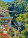 송년산행 / 송년행사 제216차 고성 구절산(564m) 폭포암 출렁다리... 송년산행 / 송년행사 제216차 고성 구절산(564m) 폭포암 출렁다리