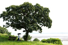 20250726 세어도. - │　 방 　 [회원사진방] - 인천산사야 트레킹클럽(산과 사진...야생화 도보여행) 20250726 세어도.