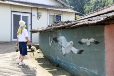 20250726 세어도. - │　 방 　 [회원사진방] - 인천산사야 트레킹클럽(산과 사진...야생화 도보여행) 20250726 세어도.