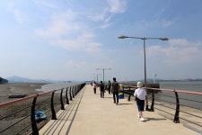 20250726 세어도. - │　 방 　 [회원사진방] - 인천산사야 트레킹클럽(산과 사진...야생화 도보여행) 20250726 세어도.