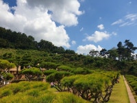 평택시 수목장 분양 안장모습 - 25-20년 상조회장 창립기념행사 신년사 - 해병대상조(해병대상조회사) 해병대상조(해병대상조회사)