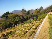 국내최고의 명당 자연수목장 김포 해병대 애기봉 전망대입구 수목장오픈 최고의풍광과 바다가 보이는곳 제가 직접 선,분양합니다. - 26-20년... 
