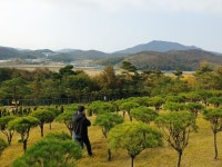 수도권 최고의풍광과 눈앞의 산과물이흐르는 최고의명당을 제회사 30주년 성원에감사 선,후배님게 특별관 부부단 300만원 에 선,분양합니다... 