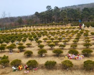 해병대단체 전국순회 14번째 입대60주년♡50주년 선배님16명 식사초대 및 해병대 화합의 만남의장을 3월5일 행사를 주최&후원햇습니다. - 2026... 