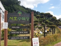 평택시 수목장 분양 안장모습 - 25-20년 상조회장 창립기념행사 신년사 - 해병대상조(해병대상조회사) 해병대상조(해병대상조회사)