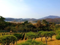 수도권 최고의풍광과 눈앞의 산과물이흐르는 최고의명당을 제회사 30주년 성원에감사 선,후배님게 특별관 부부단 300만원 에 선,분양합니다... 