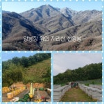 지리산 고급 숙성꿀 밤꿀 ~ 아카시꿀 잡화꿀 염가판매 - 회원직거래 장터 - 5670 아름다운 동행 지리산 고급 숙성꿀 밤꿀 ~ 아카시꿀 잡화꿀... 