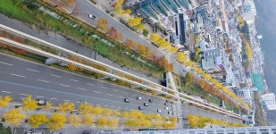 미리보는 동대구로 - ‥‥‥수성구모임 - 대구 텐인텐 미리보는 동대구로