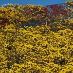 자주가는 식당,,, - ‥‥향기 ♡ 카페 앨범 - 향기있는 좋은글 향기있는 좋은글