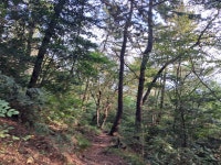 부산팔금산산책로를걷고와서 - ◈─……포토ノ사진여행 - 예술의 집 부산팔금산산책로를걷고와서