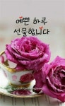 예쁜 하루 선물합니다! 즐거운 금욜 되세요~ - *─ 출석 - 임태경공식팬카페 처/음/사/랑/할/때/처/럼 예쁜 하루 선물합니다! 즐거운 금욜 되세요~