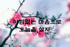 아낌없는 마음으로 오늘을 살자 - 서울대교구 - 빠다킹신부와 새벽을 열며 아낌없는 마음으로 오늘을 살자