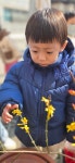 손잡고 산책하기 - 꽃잎반 - 충주엄지어린이집 손잡고 산책하기