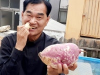 손길청년회 성남동노인정 - ♣오나무의 활동일기 - 오재진 나무 손길청년회 성남동노인정