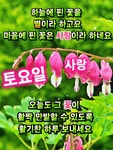 2026년 3월 14일 토요일 아침 행복 편지 (화이트데이) - ◈□시인 해월 이강무 - 쉘브르 2026년 3월 14일 토요일 아침 행복 편지 (화이트데이)