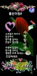 토요일,카톡인사 - ‥‥ⓔ미지 ♡ 자료실 - 향기있는 좋은글 향기있는 좋은글