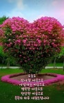 카톡 인사 보낼실 때 골라서 사용하세요 - ♡- 인천 모임방 - 【우수카페】신비한 약초세상 카톡 인사 보낼실 때 골라서 사용하세요