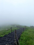 나홀로 소백산 - ♡- 경북 모임방 - 【우수카페】신비한 약초세상 나홀로 소백산