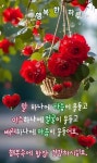 카톡 인사 보낼실 때 골라서 사용하세요 - ♡- 인천 모임방 - 【우수카페】신비한 약초세상 카톡 인사 보낼실 때 골라서 사용하세요