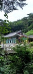 소백산 - ♡- 경북 모임방 - 【우수카페】신비한 약초세상 소백산