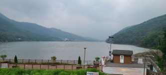 안녕하세요 안녕하세요 - ♡- 경북 모임방 - 【우수카페】신비한 약초세상 안녕하세요 안녕하세요
