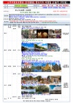 ★2025년 캄보디아 앙코르왓 1월~2월 매일출발 - ★2025년 캄보디아 앙코르왓..1월~2월 매일출발 - 개미여행사 ★2025년 캄보디아 앙코르왓... 