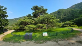 속리산둘레길 11구간코스 (수리봉구름길) 250708 - 凸 [속리산둘레길] 사진 - 산들투어 속리산둘레길 11구간코스 (수리봉구름길) 250708