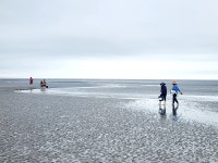 주문도 주문8경 1박2일 백합조개 해루질 투어 - 주문도(서도면 주문도리) - 인천섬여행 인천168보물섬 주문도 주문8경 1박2일 백합조개 해루질... 