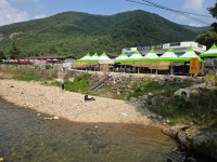 속리산둘레길 11구간코스 수리봉구름길 죽문임도 걷다 250708 - 凸 [속리산둘레길] 사진 - 산들투어 속리산둘레길 11구간코스... 