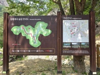 속리산둘레길 11구간코스 (수리봉구름길) 250708 - 凸 [속리산둘레길] 사진 - 산들투어 속리산둘레길 11구간코스 (수리봉구름길) 250708