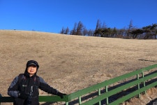 1월 27일 - 화요일 ㅡ대관령 양떼목장 여행 -성남 분당 용인 여행사 ㅡ하나투어 분당 대리점 - 당일여행 사진 보기 ---15일간 - 파아란 여행클럽... 