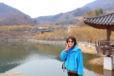 3월 15일 - 일요일ㅡ구례 산수유 축제 - 계척마을 시목지 여행 - 성남 분당 용인 여행사 ㅡ하나투어 분당 대리점 - 당일여행 사진 보기 ---15일간... 