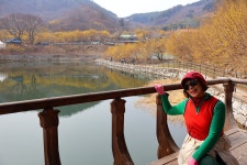 3월 15일 - 일요일ㅡ구례 산수유 축제 - 계척마을 시목지 여행 - 성남 분당 용인 여행사 ㅡ하나투어 분당 대리점 - 당일여행 사진 보기 ---15일간... 
