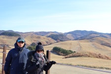 1월 1일 - 목요일 ㅡ 서산 목장길 알프스 + 로드1950카페 여행 ㅡ성남 분당 용인 여행사 ㅡ하나투어 분당 대리점 - 당일여행 사진 보기 ---15일간... 