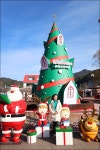 [2호차] 2025.12.21.(일) - 봉화 분천역 산타마을 / 무궁화 눈꽃열차 / 태백 오로라 파크 - 4 - 당일여행 사진 보기 ---15일간 - 파아란 여행클럽... 